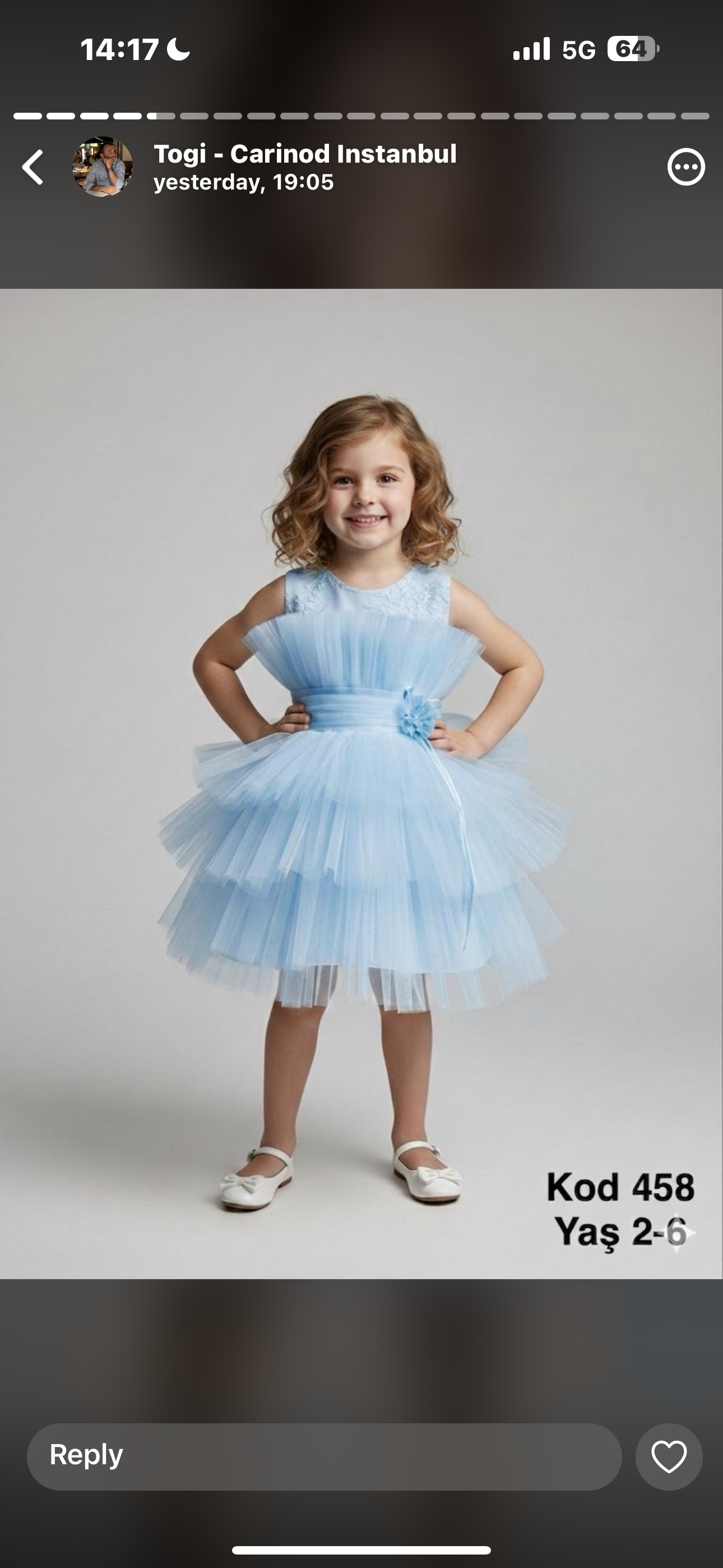 Party dress 1